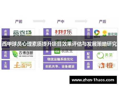 西甲球员心理素质提升项目效果评估与发展策略研究 西甲球员心理素质提升项目效果评估与发展策略研究