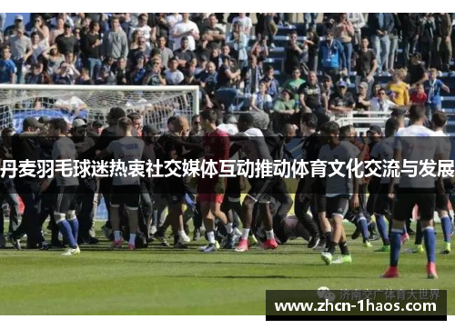 丹麦羽毛球迷热衷社交媒体互动推动体育文化交流与发展 丹麦羽毛球迷热衷社交媒体互动推动体育文化交流与发展