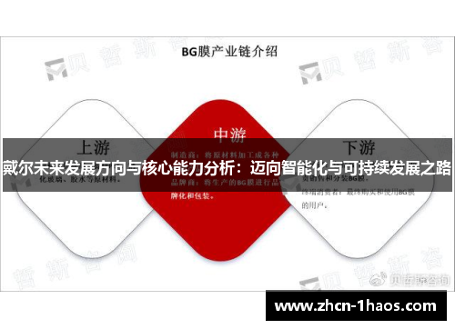 戴尔未来发展方向与核心能力分析：迈向智能化与可持续发展之路