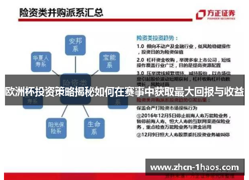 欧洲杯投资策略揭秘如何在赛事中获取最大回报与收益