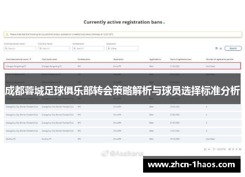 成都蓉城足球俱乐部转会策略解析与球员选择标准分析 成都蓉城足球俱乐部转会策略解析与球员选择标准分析