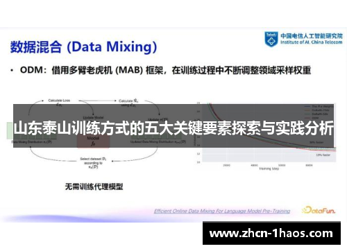 山东泰山训练方式的五大关键要素探索与实践分析 山东泰山训练方式的五大关键要素探索与实践分析