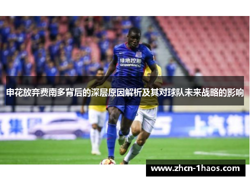 申花放弃费南多背后的深层原因解析及其对球队未来战略的影响