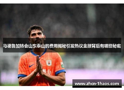 马德鲁加转会山东泰山的费用揭秘引发热议金额背后有哪些秘密