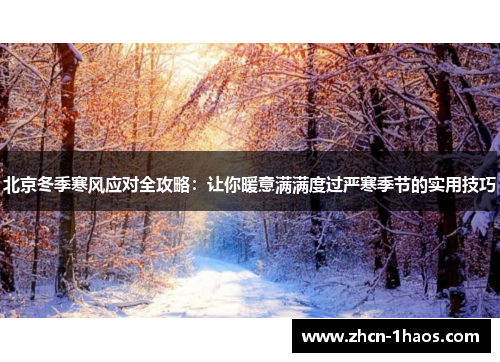 北京冬季寒风应对全攻略:让你暖意满满度过严寒季节的实用技巧 北京冬季寒风应对全攻略:让你暖意满满度过严寒季节的实用技巧