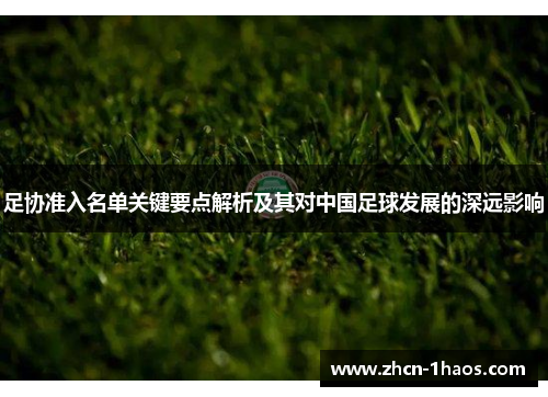 足协准入名单关键要点解析及其对中国足球发展的深远影响