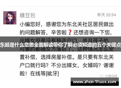 东超是什么意思全面解读带你了解必须知道的五个关键点