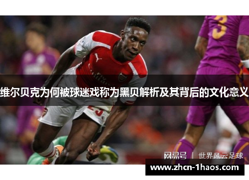 维尔贝克为何被球迷戏称为黑贝解析及其背后的文化意义 维尔贝克为何被球迷戏称为黑贝解析及其背后的文化意义