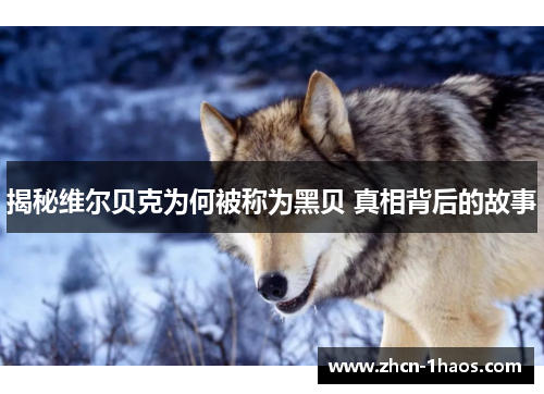 揭秘维尔贝克为何被称为黑贝 真相背后的故事