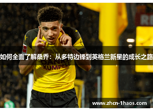 如何全面了解桑乔:从多特边锋到英格兰新星的成长之路 如何全面了解桑乔:从多特边锋到英格兰新星的成长之路