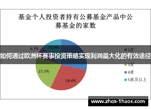 如何通过欧洲杯赛事投资策略实现利润最大化的有效途径
