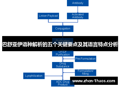 巴舒亚伊语种解析的五个关键要点及其语言特点分析