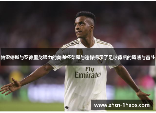 帕雷德斯与罗德里戈眼中的美洲杯荣耀与遗憾揭示了足球背后的情感与奋斗