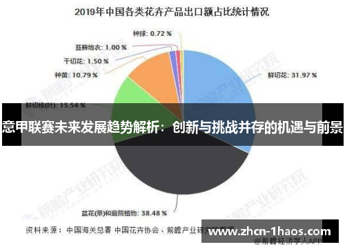 意甲联赛未来发展趋势解析:创新与挑战并存的机遇与前景 意甲联赛未来发展趋势解析:创新与挑战并存的机遇与前景