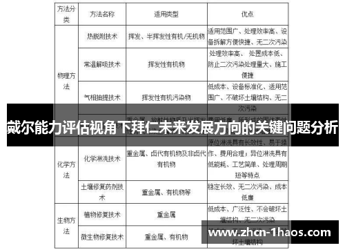 戴尔能力评估视角下拜仁未来发展方向的关键问题分析 戴尔能力评估视角下拜仁未来发展方向的关键问题分析