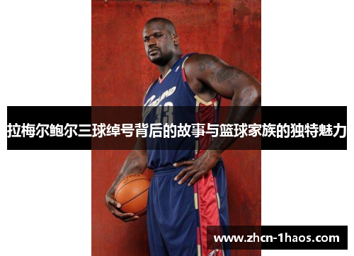 拉梅尔鲍尔三球绰号背后的故事与篮球家族的独特魅力